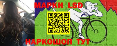 стаф Кулебаки