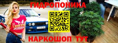 стаф Кулебаки