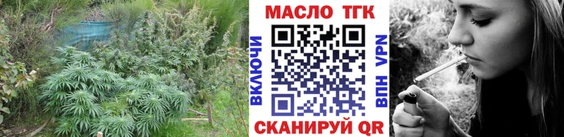 Дистиллят ТГК концентрат  купить  сайты  Курчалой 
