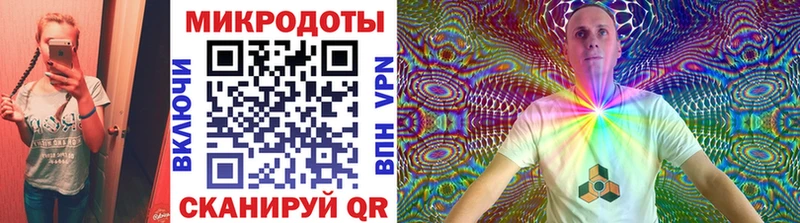 Галлюциногенные грибы Psilocybe  блэк спрут ссылка  Курчалой  наркошоп 