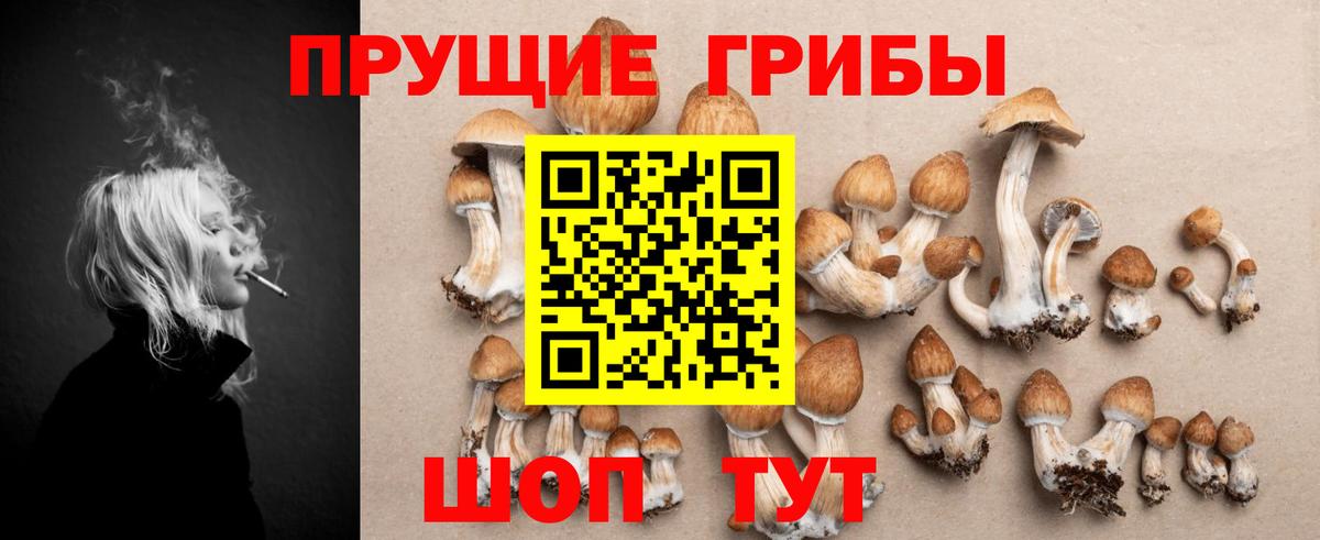 Псилоцибиновые грибы мицелий  Галлюциногенные грибы ЛСД  наркошоп  Вход с VPN  Курчалой 